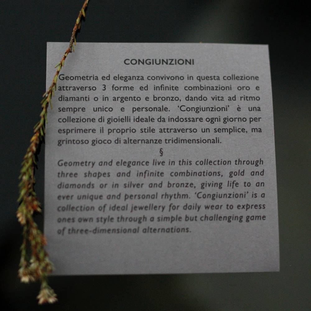 Paola Grande Gioielli CONGIUNZIONI Orecchini 'Congiunzioni' 5 elementi Negozio