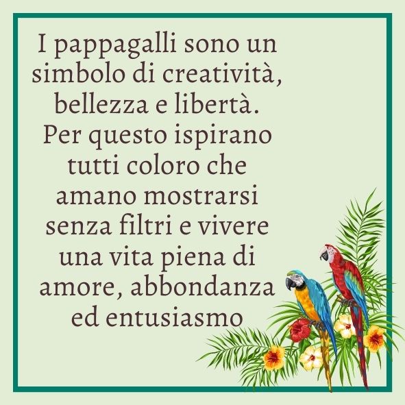 Thais Bernardes Orecchini Piume e Pappagalli Italy