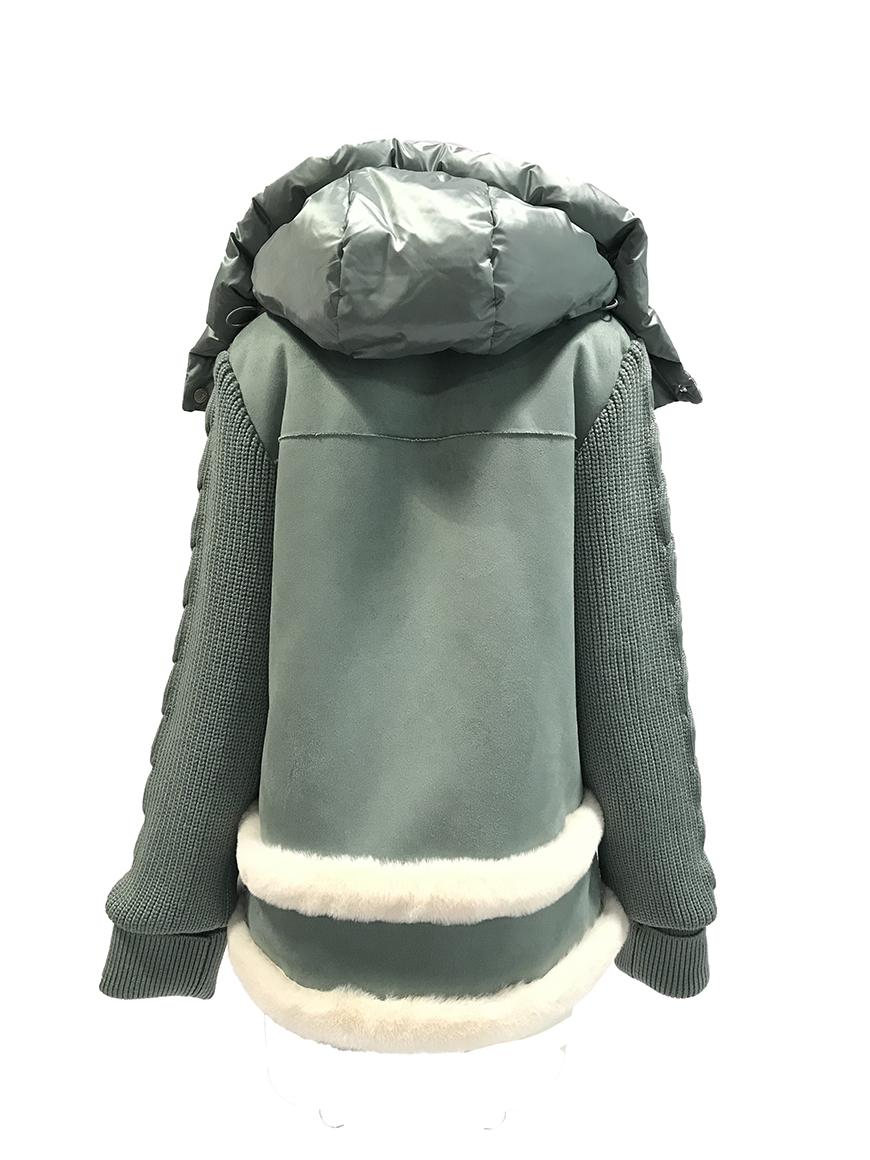 Violanti 100% PL - VL162 Moda